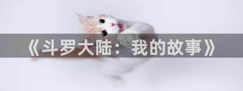 进化狂潮漫画免费包子漫画：《斗罗大陆：我的故事》