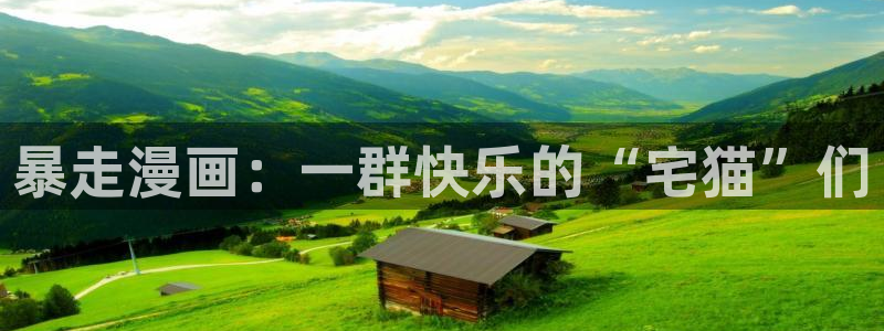 包子漫画画：暴走漫画：一群快乐的“宅猫”们