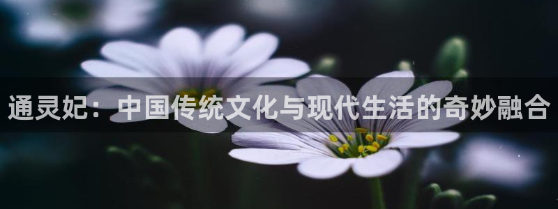 听星漫画完整版包子漫画免费观看：通灵妃：中国传统文化与现代生活的奇妙融合