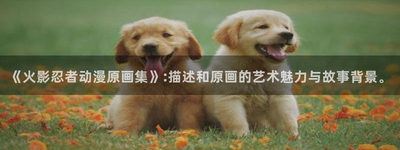 包子漫画下载ios：《火影忍者动漫原画集》:描述和原画的艺术魅力与故事背景。